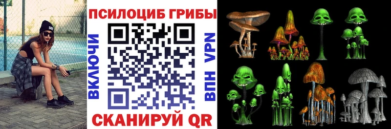 Псилоцибиновые грибы ЛСД что такое Новомосковск